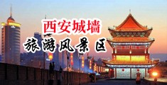 鸡巴插逼视频啊啊啊爽中国陕西-西安城墙旅游风景区